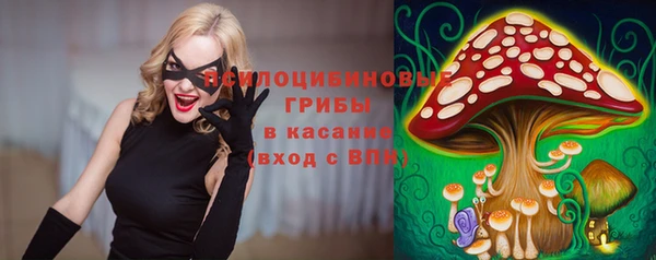 spice Зеленокумск