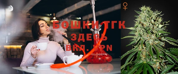 ПСИЛОЦИБИНОВЫЕ ГРИБЫ Зерноград