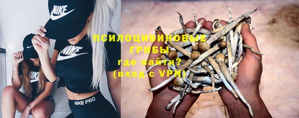 spice Зеленокумск