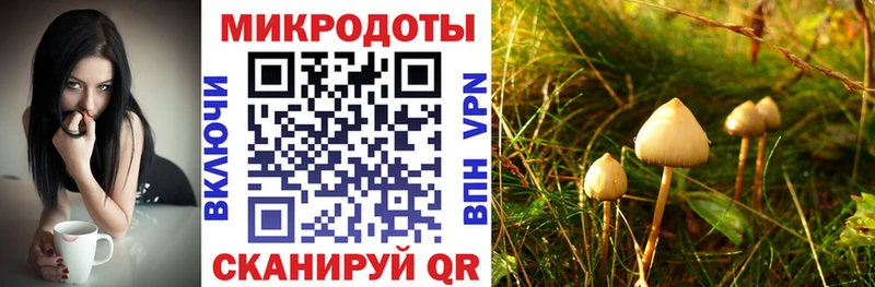 Галлюциногенные грибы GOLDEN TEACHER  Купить  Дмитриев 