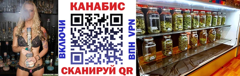 Канабис план  Купить  Дмитриев 